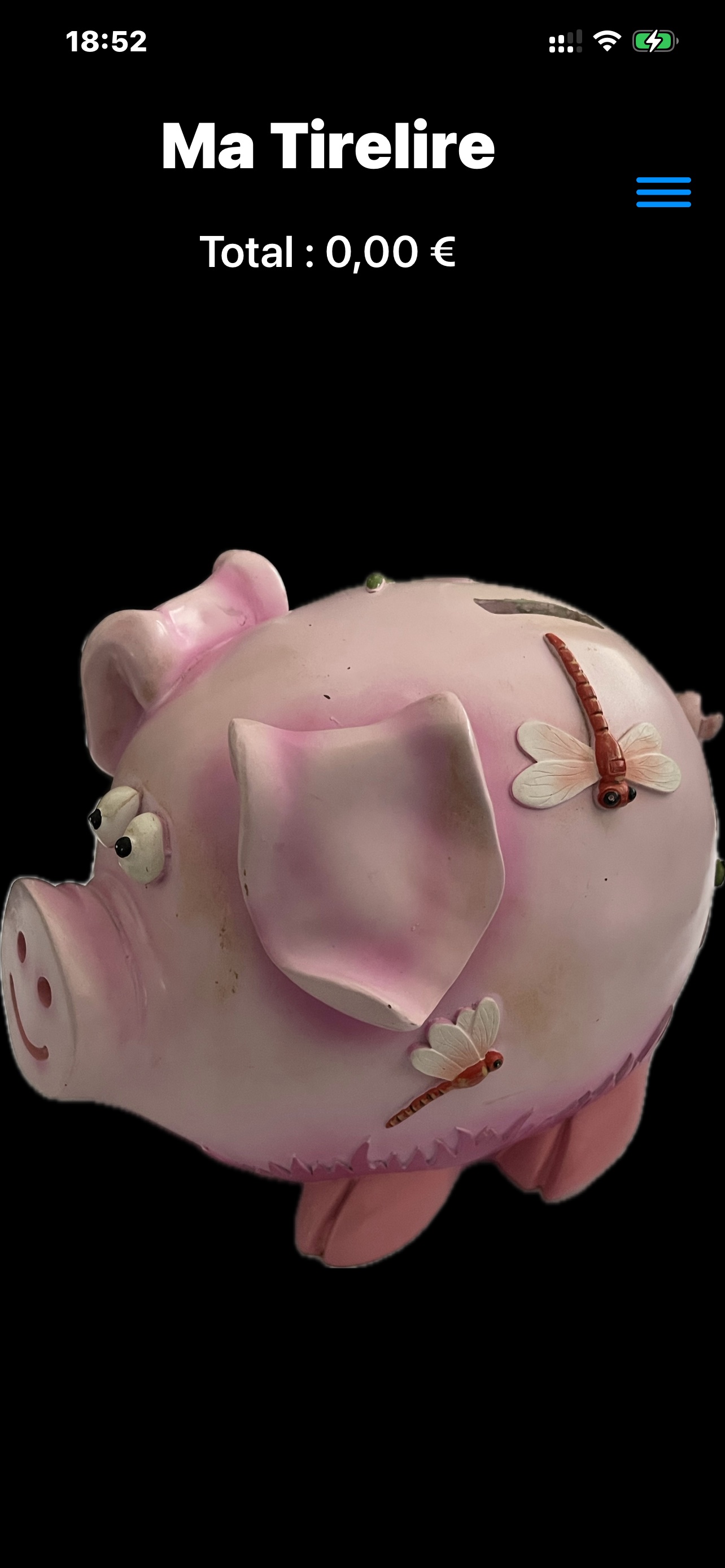 Tirelire – écran principal